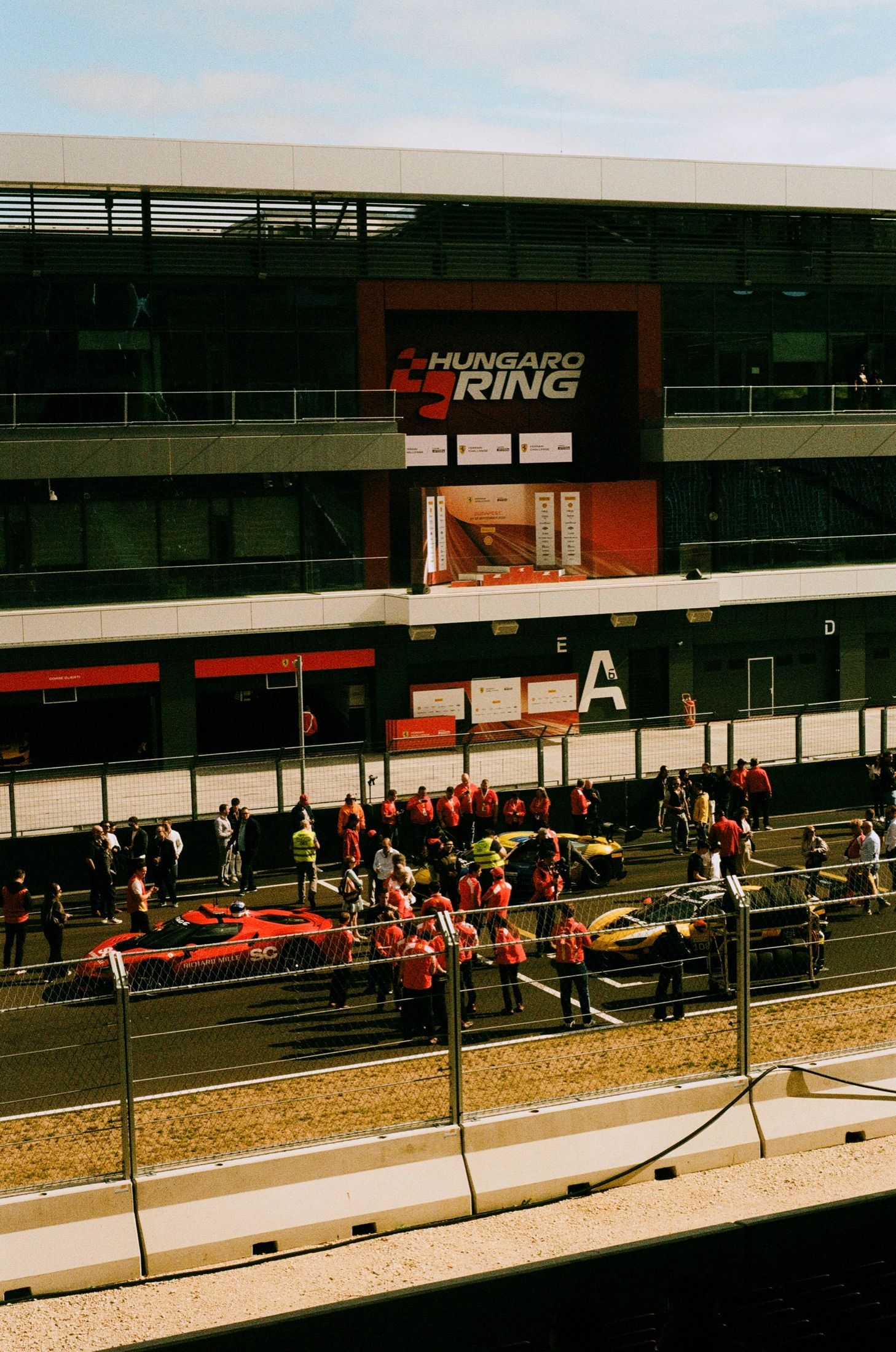The Paddock in Red and Yellow